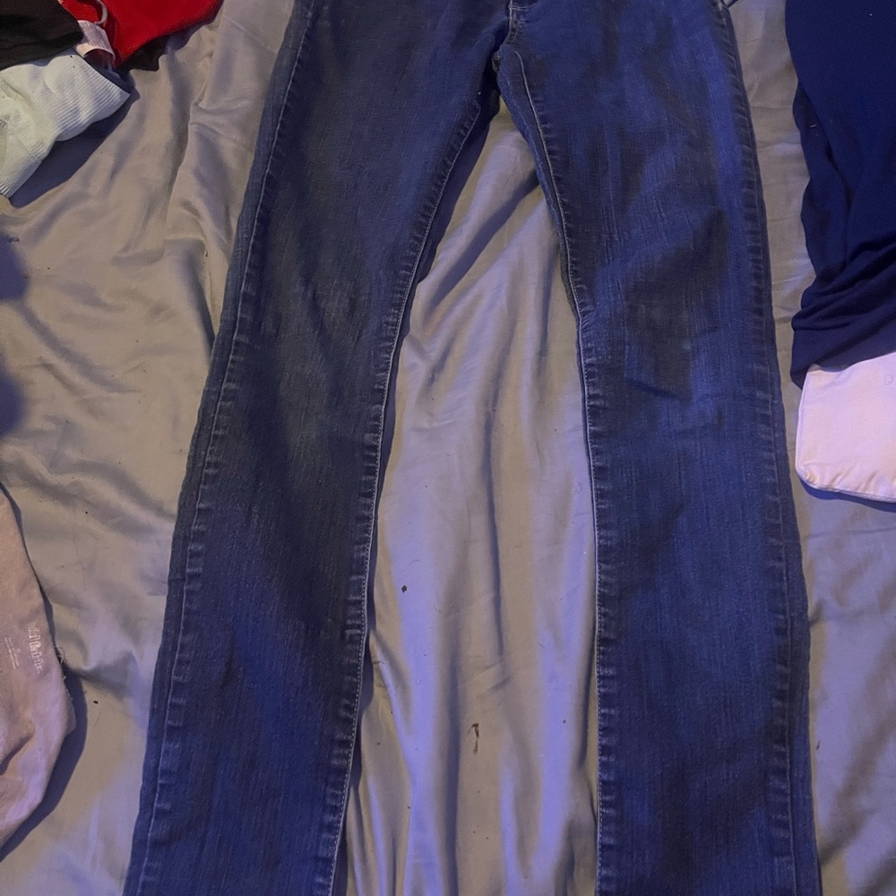 Cello Dark Blue Jeans